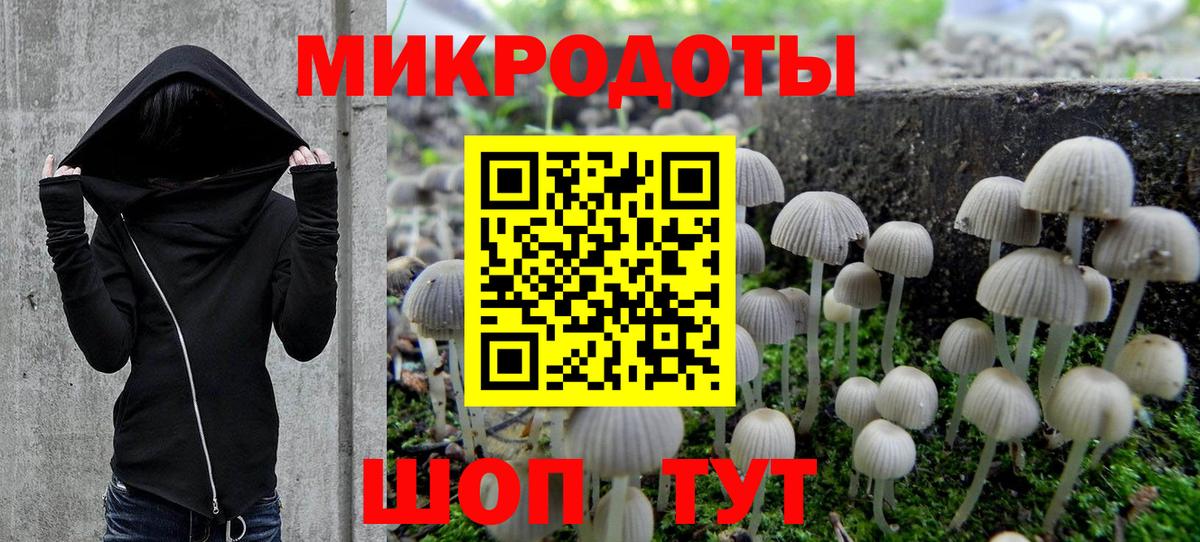 Псилоцибиновые грибы GOLDEN TEACHER  Вход с VPN  купить наркотики сайты  Псилоцибиновые грибы ЛСД  Волгоград 